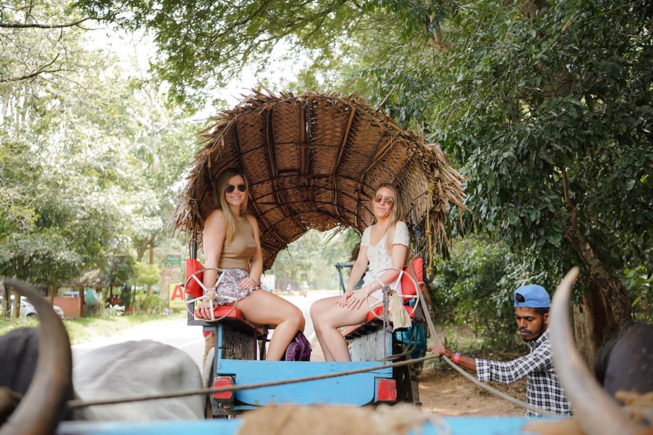 Sigiriya Kingdom Gate Dambulla Otel Dış mekan fotoğraf